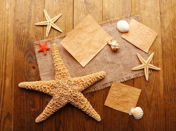 海の星と貝とカードのダミーカード — ストック写真