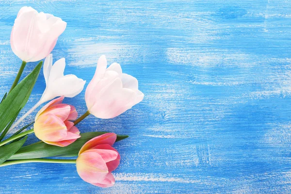 Beautiful tulips on color wooden background — Stock Photo, Image