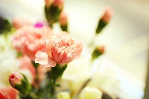 Vacker rosa kryddnejlika, närbild — Stockfoto