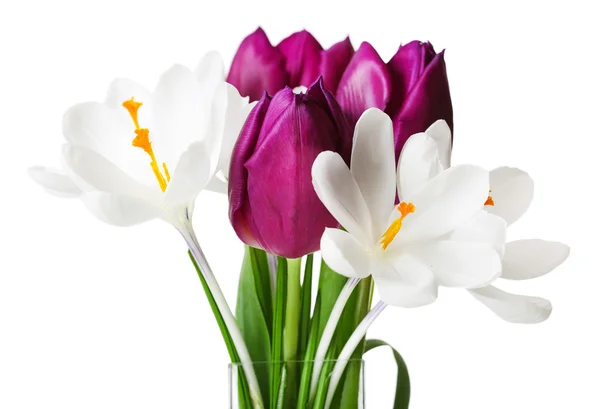 Buquê fresco com tulipas e crocus isolado em branco — Fotografia de Stock
