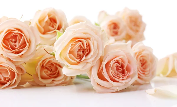 Ramo de hermosas rosas frescas aisladas en blanco — Foto de Stock