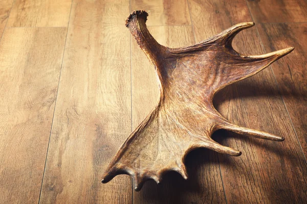 アメリカヘラジカの角の木製の背景に — ストック写真