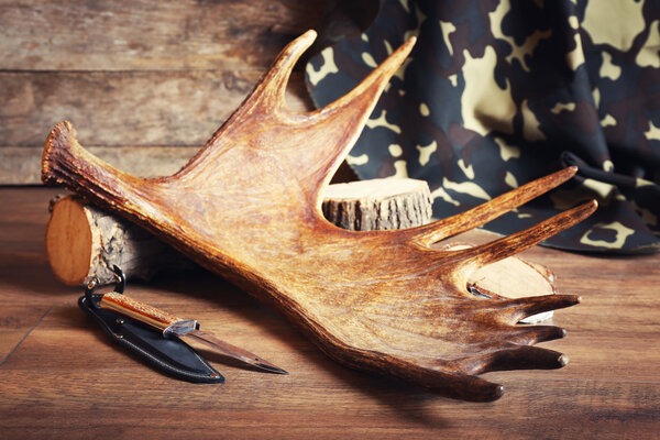Moose antler with hunting knives on wooden background