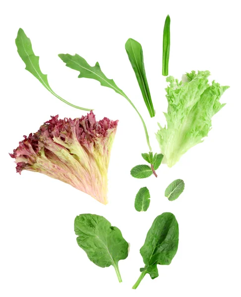 Variedad de hojas verdes para ensalada, aisladas sobre blanco — Foto de Stock