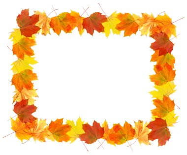 Sonbahar yaprakları üzerinde beyaz izole çerçevesinde