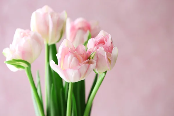 Belles fleurs printanières — Photo