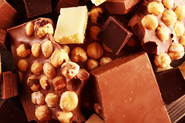 ヘーゼル ナッツとチョコレートのセット — ストック写真