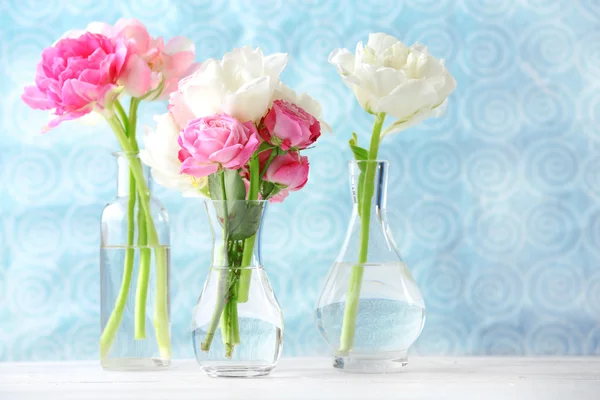 Lindas flores de primavera — Fotografia de Stock