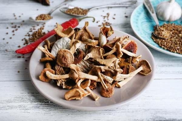 Gedroogde champignons met kruiden — Stockfoto