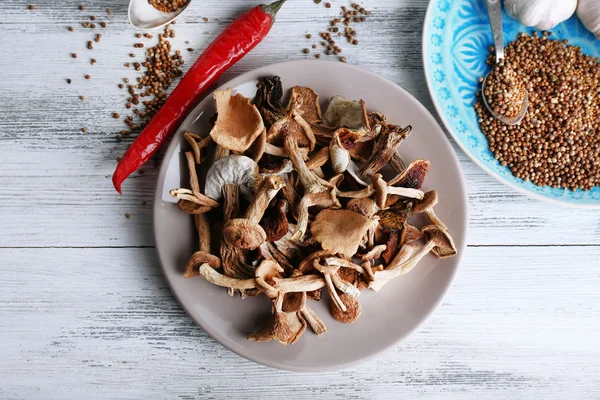 Сушені гриби зі спеціями — стокове фото