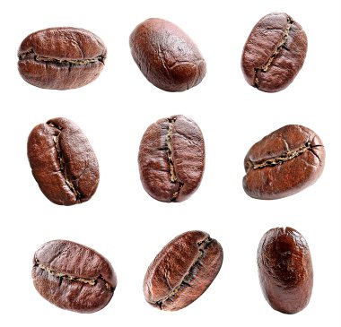 Kahve çekirdekleri üzerine beyaz izole kolaj