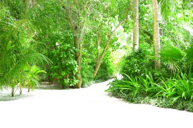 Tatil güzel yeşil ağaçlar