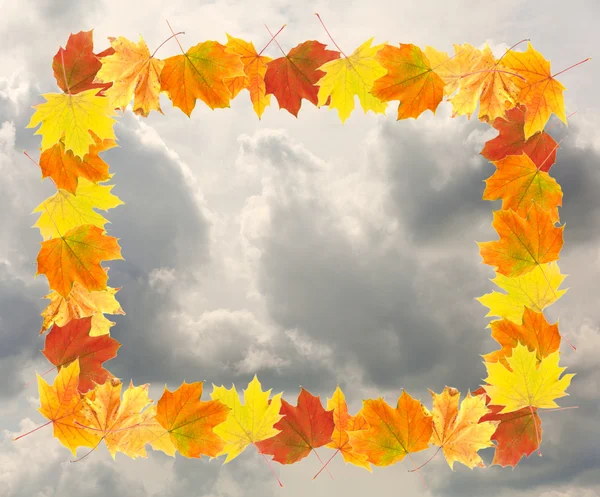 Frame of autumn leaves on sky background — Stock Photo, Image