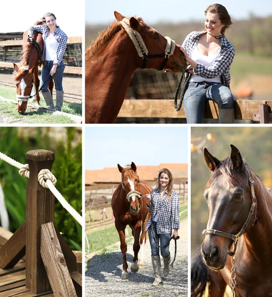 Koláž dívka s koněm — Stock fotografie