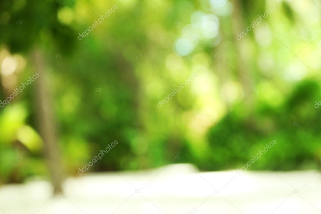 Beautiful green trees in resort, blurred abstract view