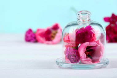 Turkuaz zemin üzerine çiçekli güzel kompozisyon