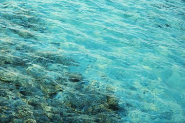 Okyanus suyu arkaplanı