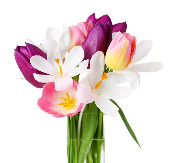 Fresh bouquet with tulips and crocus isolated on white — Stock Photo, Image