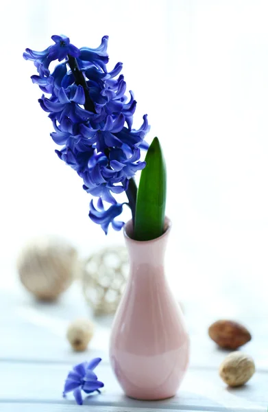 Hermosas flores de jacinto sobre fondo de alféizar de ventana — Foto de Stock