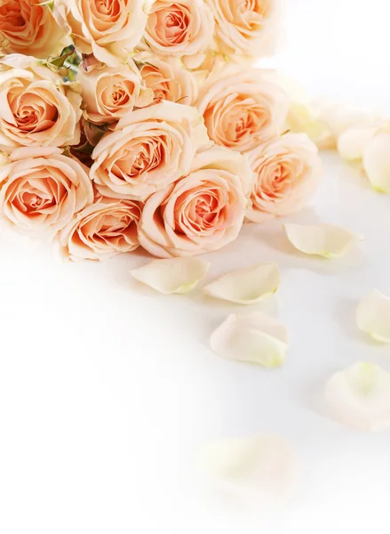 Beyaz izole güzel taze gül buketi