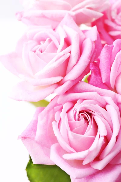 束美丽的新鲜玫瑰花，特写 — 图库照片