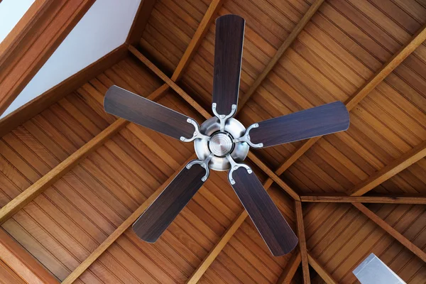 Ceiling fan, indoors