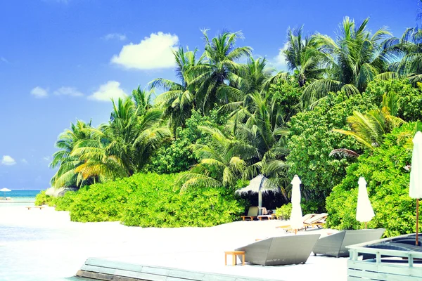 Palmiye yaprakları ve Adası resort'mavi gökyüzü — Stok fotoğraf