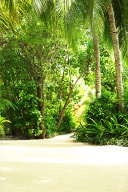 Tatil güzel yeşil ağaçlar