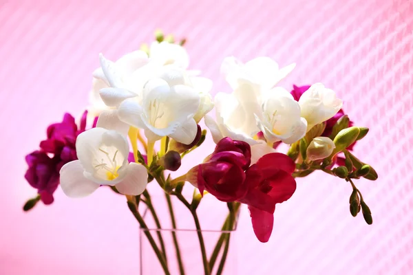 Piękne wiosenne kwiaty na różowym tle — Zdjęcie stockowe