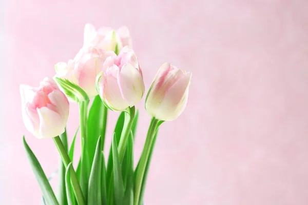 粉红色的背景上的美丽的春天的花朵 — 图库照片