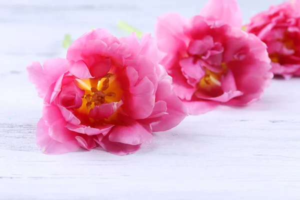 Rosa tulpaner på träbord, närbild — Stockfoto