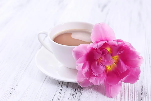 Tulip met kop koffie — Stockfoto