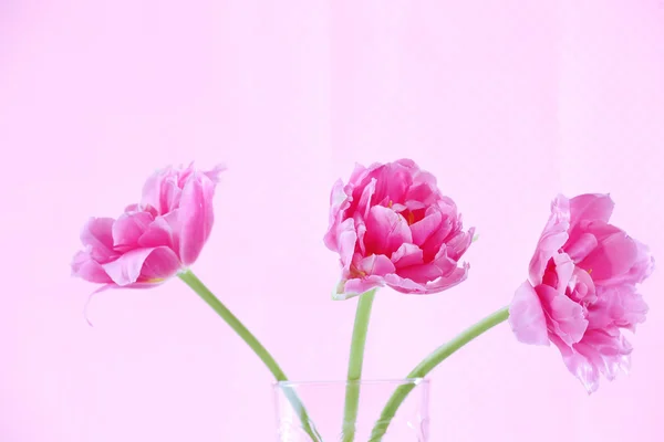 Tulipani rosa in vaso di vetro su sfondo colore — Foto Stock