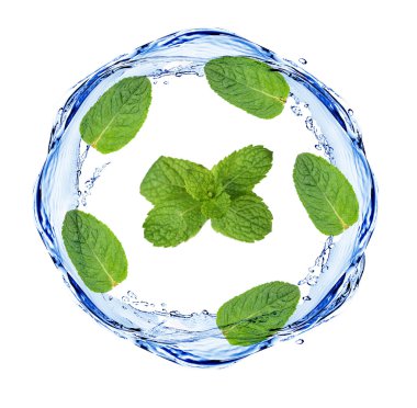 Yeşil yaprakları ve beyaz izole yuvarlak kare olarak su sıçramasına şeklinde