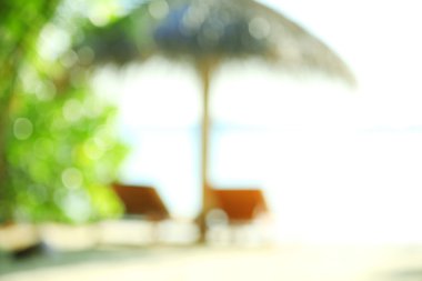 Resort, güzel plajda şezlong bulanık doku