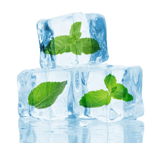 Cubos de hielo con menta, aislados en blanco —  Fotos de Stock