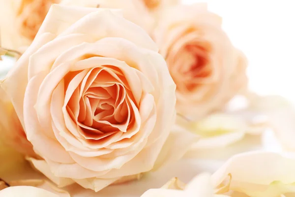 Bouquet de belles roses fraîches — Photo