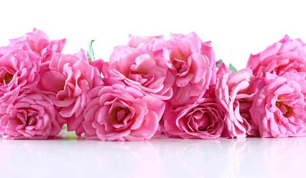 Bouquet of beautiful fresh roses — Stock Photo, Image