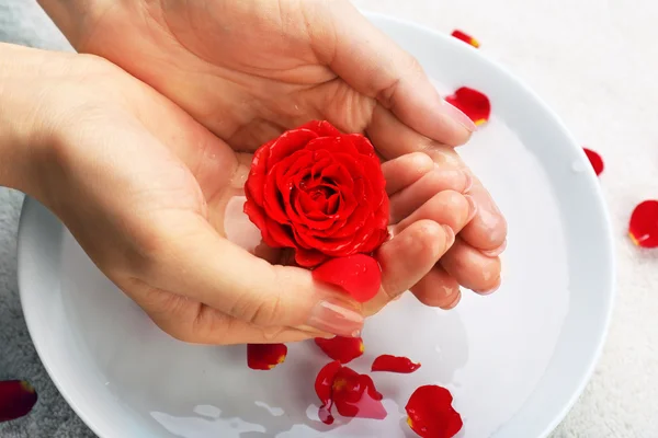 Female hands with bowl of aroma spa Stock Image