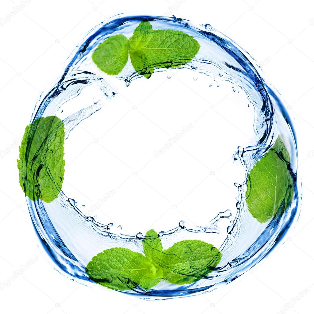 Green leaves and water splashing shaped as round frame, isolated on white