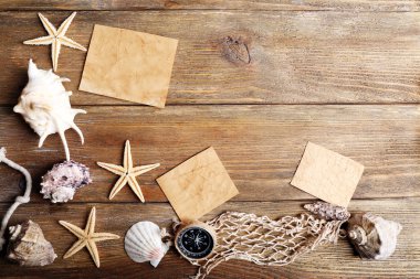 Deniz yıldızları ve kabukları