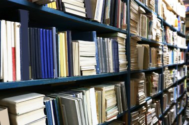 Pek çok kitap kütüphane içinde bookshelf