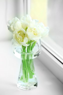 Güzel bahar çiçekleri