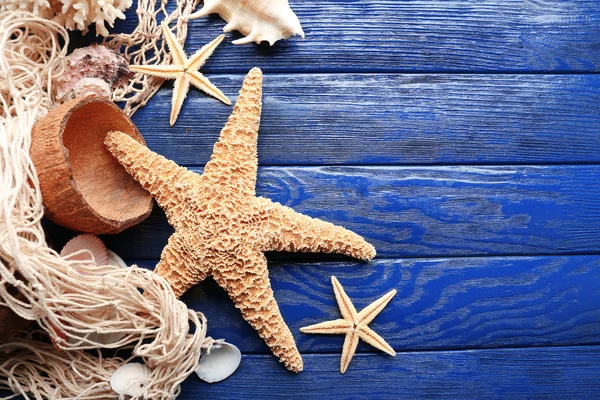 Estrellas y conchas marinas — Foto de Stock