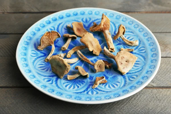 Сушені гриби на кольоровій тарілці — стокове фото