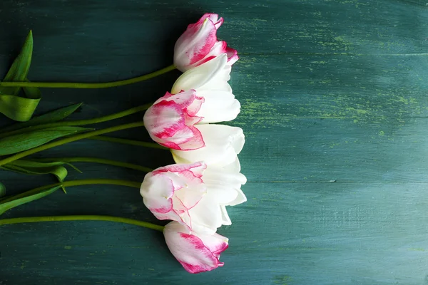 Beautiful tulips on wooden background — Stock Photo, Image