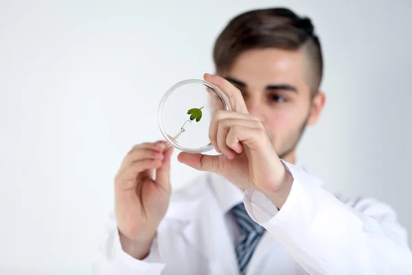 Man holding Petri dish with green leaf, close up — Stock Photo, Image