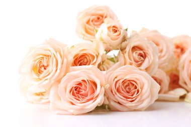 Beyaz izole güzel taze gül buketi