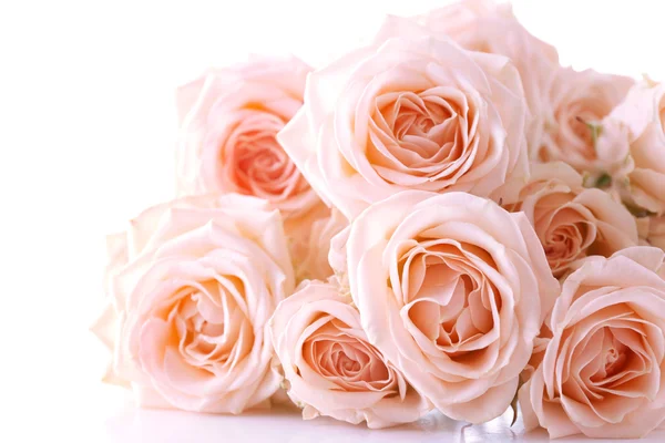 Bouquet of beautiful fresh roses isolated on white — Stock Photo, Image