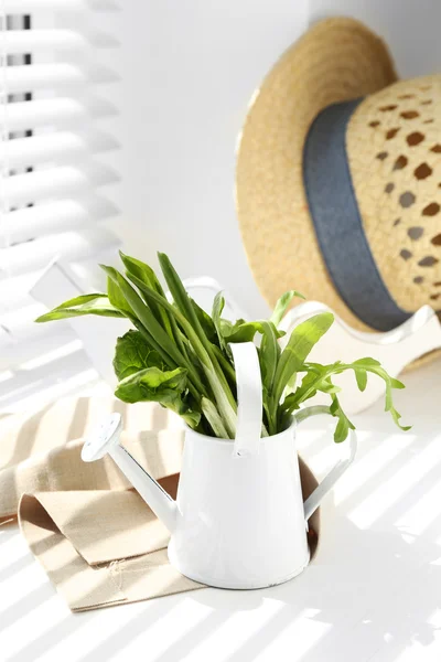 Gießkanne mit verschiedenen grünen Blättern für Salat auf der Fensterbank — Stockfoto